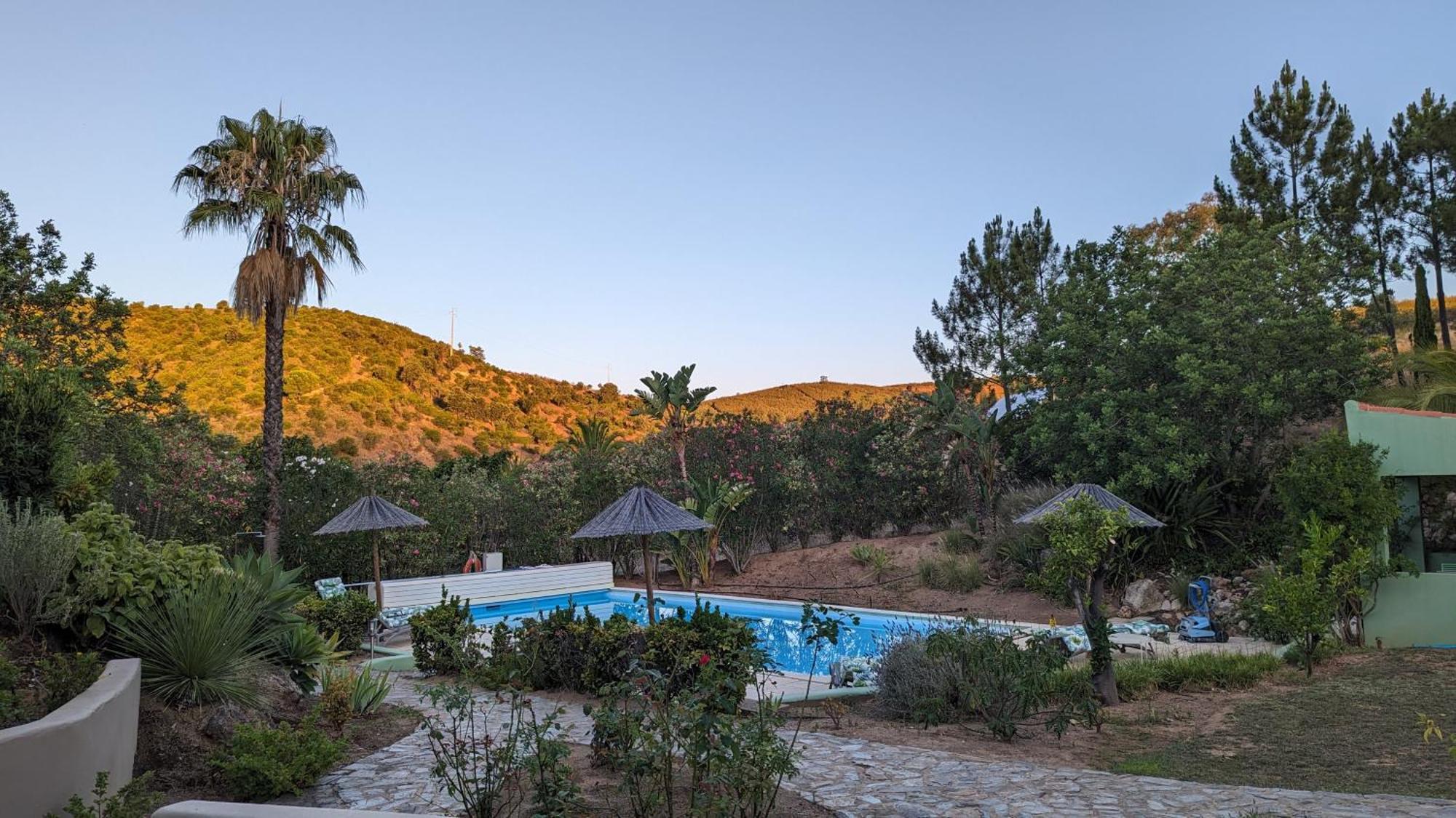 Casa Do Palmeiral - Hoom B&B Montes de Cima Exterior photo
